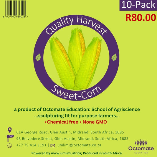 Quality Harvest Sweet-Corn (10-Pack)
