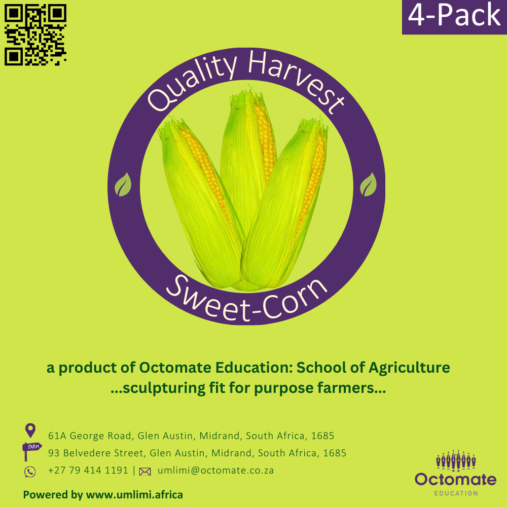 Quality Harvest Sweet-Corn (4-Pack)